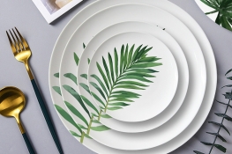 BCP-001 Fresh Monstera